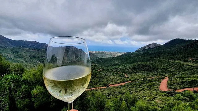 Restaurante Desierto de las Palmas vino